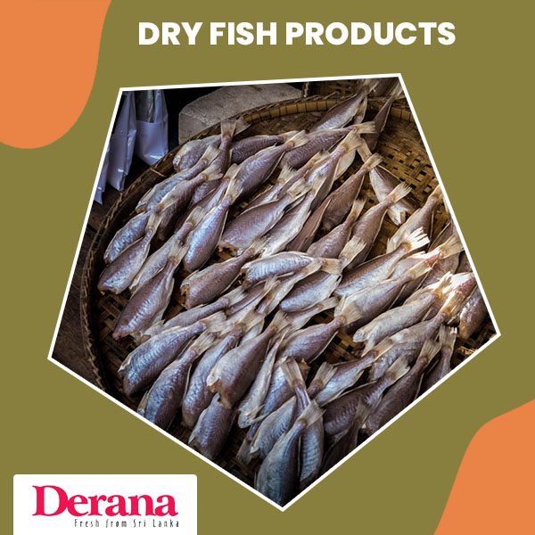 dryfish